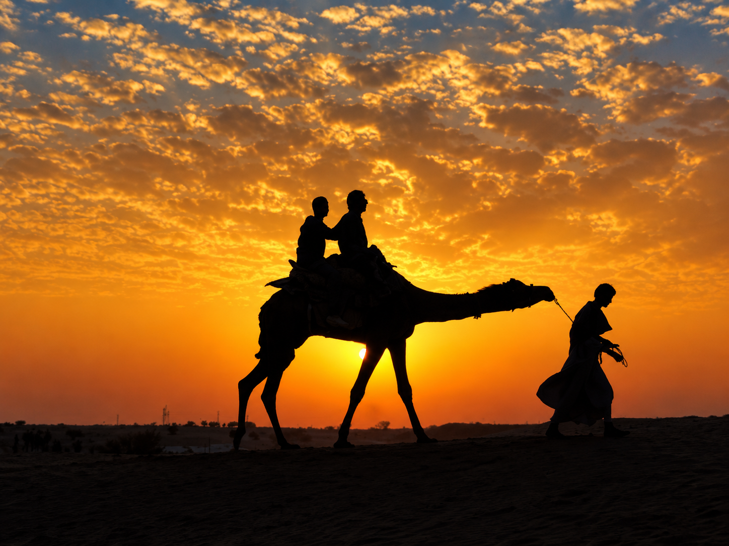Golden Desert Caravan at Sunset