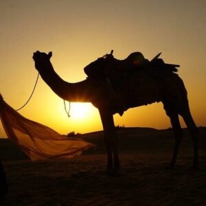 Half Day Plan B2 - Camel Ride, Sunset, Dinner, Dance & Music Campfire